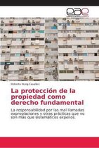 La proteccion de la propiedad como derecho fundamental