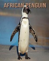 African Penguin