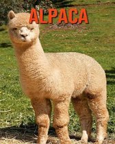 Alpaca