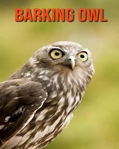 Barking Owl