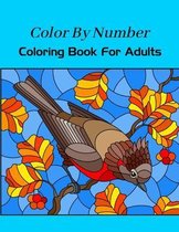 Color By Number Coloring Book For Adults
