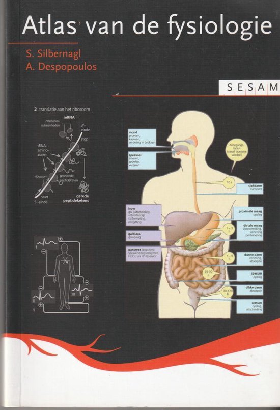 Sesam Atlas van de fysiologie - cover