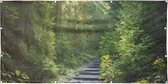 Tuinposter - Pad door mooi groen bos - zon- en waterbestendig - natuurposter - 150x75 cm