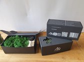 Kit de bricolage Moss ArtRosana
