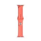 Voor Apple Watch Series 6 & SE & 5 & 4 44 mm / 3 & 2 & 1 42 mm Mutural vloeibare siliconen horlogeband (oranje)