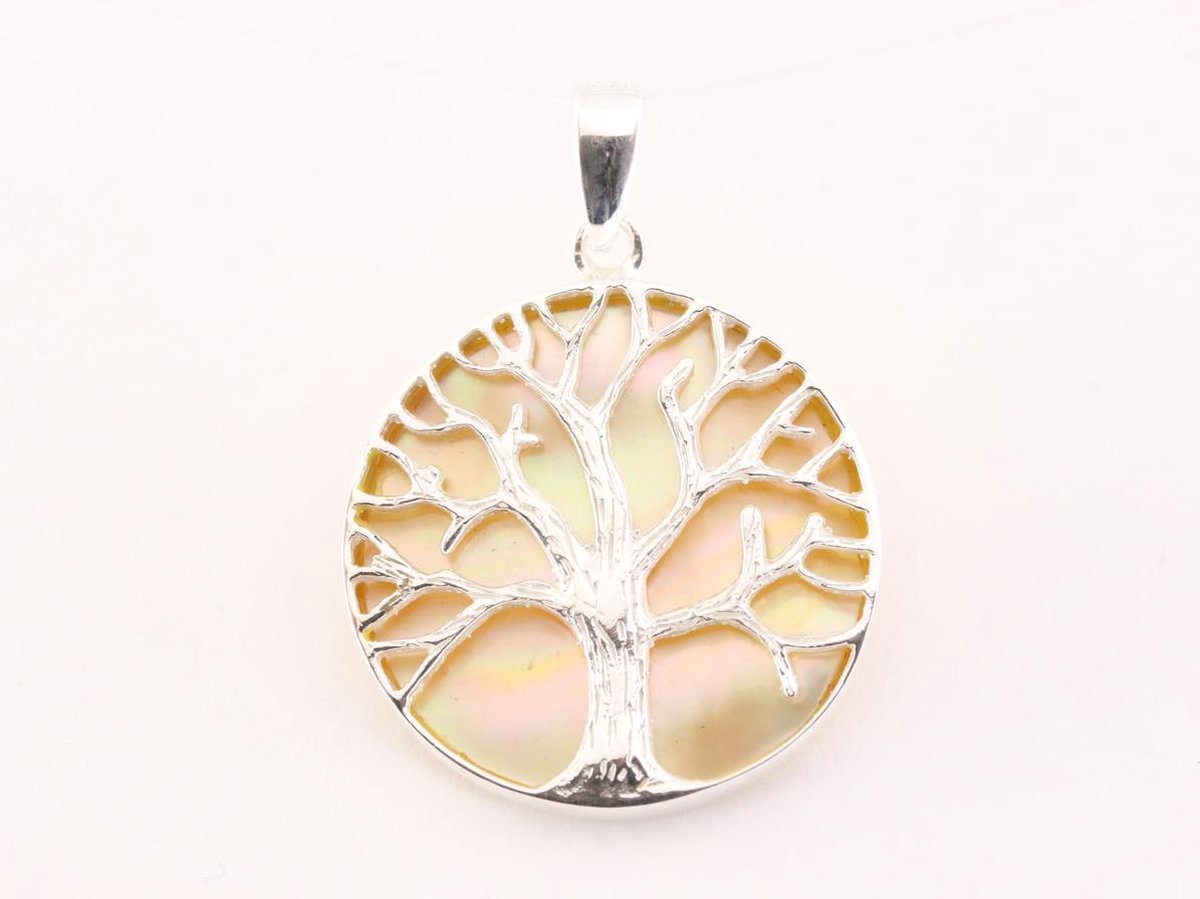 Ronde zilveren hanger met levensboom op goudkleurige schelp