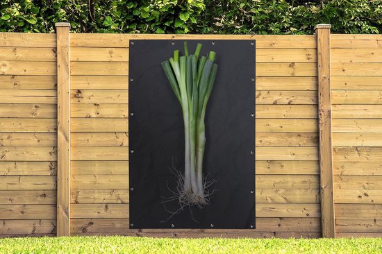 Le fameux oignon de printemps sur fond sombre Affiche de jardin 120x180 cm - Toile de jardin / Toile d'extérieur / Peintures d'extérieur (décoration de jardin) XXL / Groot format!