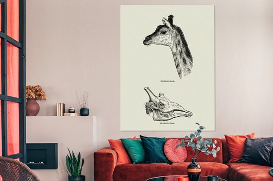 Une illustration de la tête et du crâne d'une girafe sur toile 120x160 cm - Tirage photo sur toile (Décoration murale salon / chambre) XXL / Groot format!