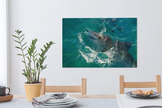 Un requin tigre sortant de l'eau 60x40 cm - Tirage photo sur toile (Décoration murale salon / chambre)