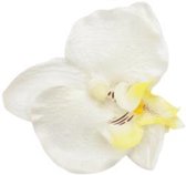 2 X BLOEMEN CLICK ORCHIDEE WIT