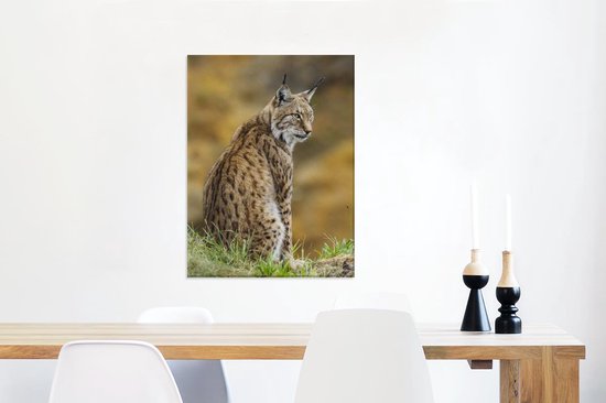 Lynx est assis dans l'herbe et regarde en arrière 60x80 cm - Tirage photo sur toile (Décoration murale salon / chambre) / Predators Canvas Peintures