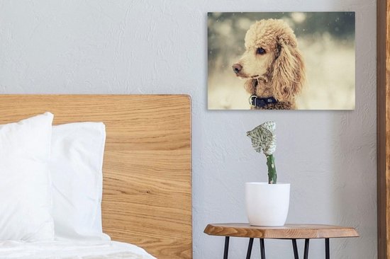 Caniche Witte dans la neige 30x20 cm - petit - Tirage photo sur toile (Décoration murale salon / chambre) / Peintures sur toile pour Animaux domestiques