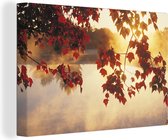 Canvas schilderij 150x100 cm - Wanddecoratie Bladeren - Zon - Herfst - Muurdecoratie woonkamer - Slaapkamer decoratie - Kamer accessoires - Schilderijen