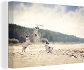 Canvas schilderij 180x120 cm - Wanddecoratie Hond - Tak - Zand - Muurdecoratie woonkamer - Slaapkamer decoratie - Kamer accessoires - Schilderijen