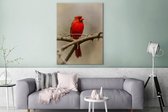 Peintures sur toile - Cardinal rouge sur une branche d'arbre fond doux - 90x120 cm - Décoration murale