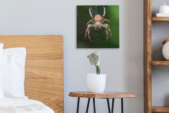 Tableau sur toile Portrait d'une araignée - 20x20 cm - Décoration murale