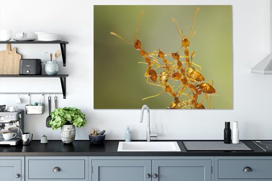 Toile Peinture Fourmis - Oranje - Animaux - 120x90 cm - Décoration murale