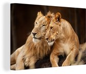 Canvas Schilderij Leeuwen - Bruin - Dieren - 120x80 cm - Wanddecoratie