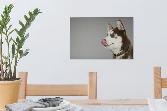 Husky lèche le nez sur toile 2cm 30x20 cm - petit - Tirage photo sur toile (Décoration murale salon / chambre) / animaux sauvages Peintures sur toile