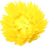 100 stuks - Gele droogbloemen zonder steel | Uniek en geschikt voor plant versiering