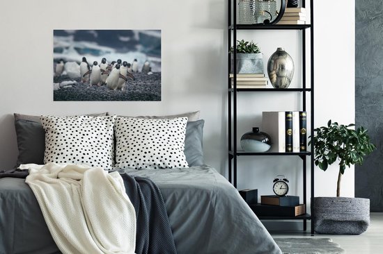 Adelie pingouins sur la plage poster papier 90x60 cm - Tirage photo sur Poster (décoration murale salon / chambre) / Poster Animaux sauvages