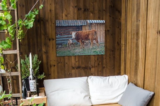 Affiche de jardin vache brune au veau toile en vrac 80x60 cm - Toile de jardin / Toile d'extérieur / Peintures d'extérieur (décoration de jardin)