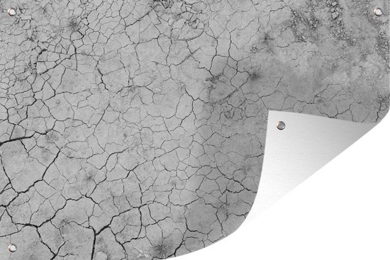 Photo Zwart et blanc d'un gros plan d'un poster de jardin en terre sèche 60x40 cm - petit - Toile de jardin / Toile d'extérieur / Peintures d'extérieur (décoration de jardin)