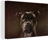 Canvas Schilderij Portret van een Staffordshire Bull Terrier - 180x120 cm - Wanddecoratie XXL