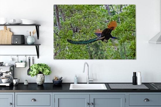 Paon coloré vole à travers les bois Toile 140x90 cm - Tirage photo sur toile (Décoration murale salon / chambre)