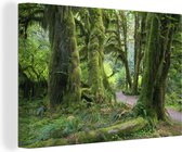 Canvas Schilderij Bemoste boomstammen in een regenwoud in Washington - 30x20 cm - Wanddecoratie