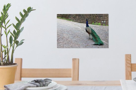 Paon marche dans une rue Toile 30x20 cm - petit - Tirage photo sur toile (Décoration murale salon / chambre)