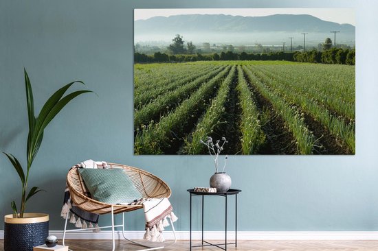 Canvas schilderij 150x100 cm - Wanddecoratie Uien in het veld met uitzicht op de bergen - Muurdecoratie woonkamer - Slaapkamer decoratie - Kamer accessoires - Schilderijen