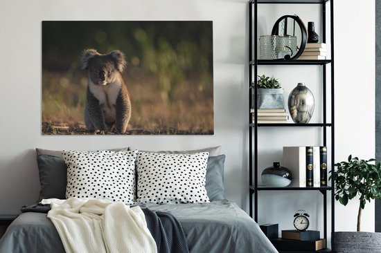 Peintures sur toile Koala - Soleil - Animaux - 140x90 cm - Décoration murale