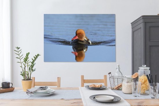Un canard à crête rouge nage dans une toile de lac bleu 140x90 cm - Tirage photo sur toile (Décoration murale salon / chambre)