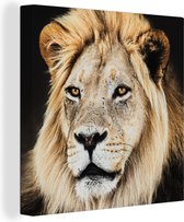 Canvas Schilderij Leeuwen - Kleuren - Roofdier - 90x90 cm - Wanddecoratie