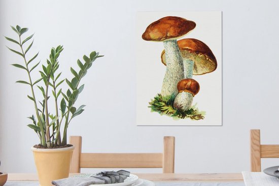 Peinture sur toile Champignons - Illustration - Rouge - Wit - 30x40 cm - Décoration murale