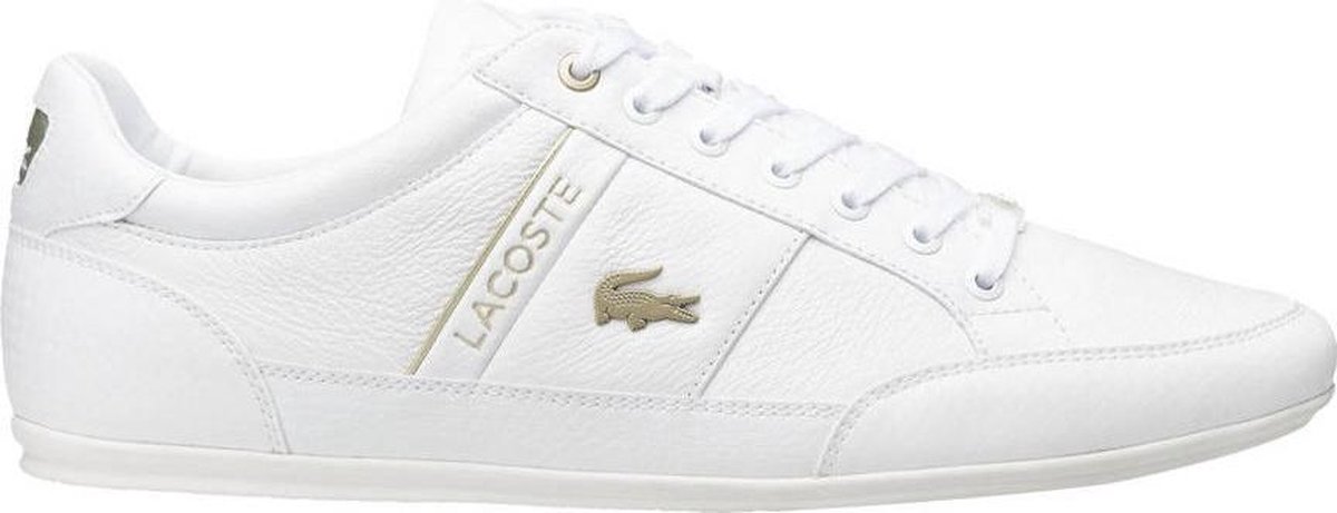 lacoste chaymon 47