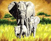 Schilderen Op Nummer Volwassenen - Olifanten - Dieren - Hobby - Opgerold, kreukvrij canvas 40 x 50 cm - met opspan frame lijst