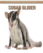 Sugar Glider