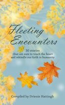 Fleeting Encounters