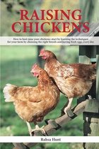 Raising Chickens: How to best raise your chickens