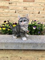 Kat staand klein 3 ass grijs 18 cm hoog - kitten - poes - grijs - gestreept - polyester -polystone - beeld - tuinbeeld - hoogkwalitatieve kunststof - decoratiefiguur interieur - ac