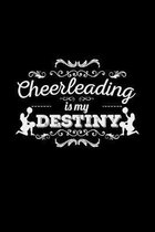 Cheerleading is my destiny
