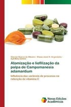 Atomizacao e liofilizacao da polpa de Campomanesia adamantium