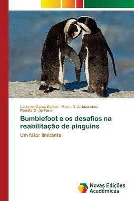 Bumblefoot e os desafios na reabilitação de pinguins - cover