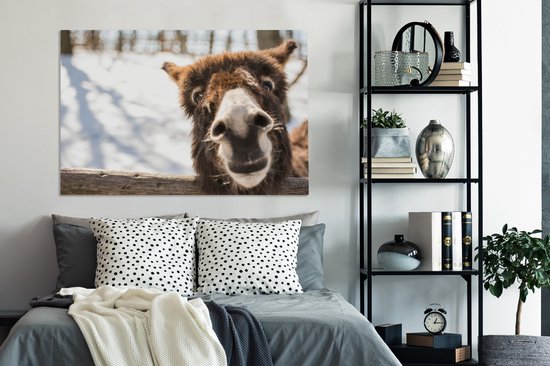 Toile d'âne curieux 2cm 120x80 cm - Tirage photo sur toile (Décoration murale salon / chambre) / Peintures sur toile animaux sauvages