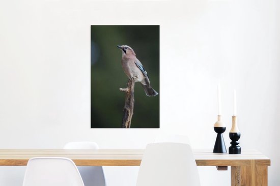 Jay sur une branche 60x90 cm - Tirage photo sur toile (Décoration murale salon / chambre)