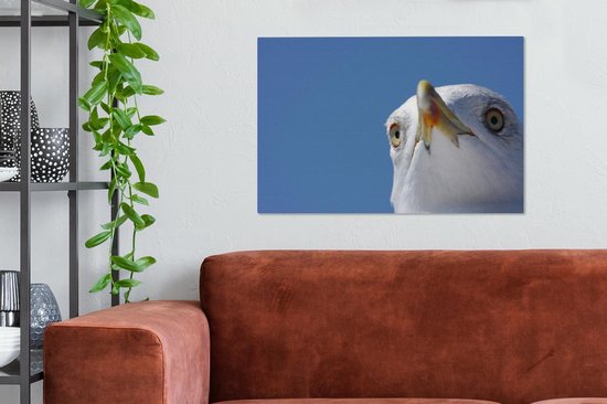 Gros plan de mouette 90x60 cm - Tirage photo sur toile (Décoration murale salon / chambre)