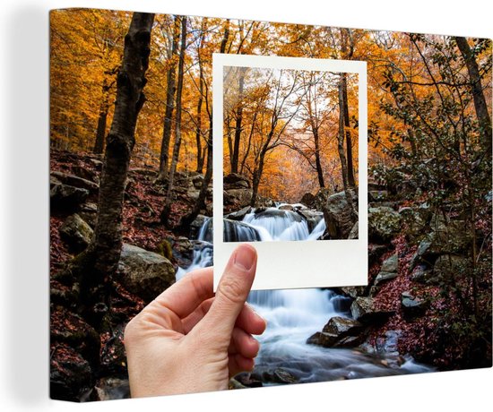 Polaroid d'un ruisseau dans une forêt d'automne 30x20 cm - petit - Tirage  photo sur... | bol.com