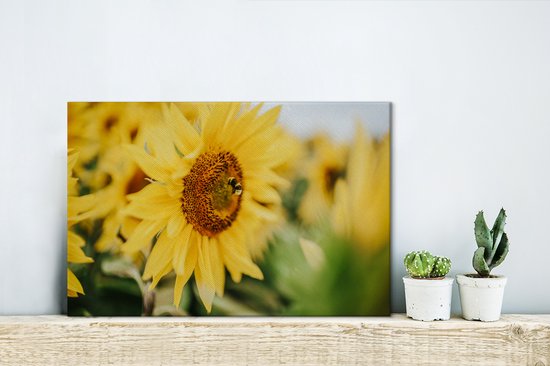 Gros plan d'une abeille sur un tournesol 30x20 cm - petit - Tirage photo sur toile (Décoration murale salon / chambre) / Peintures Fleurs sur toile